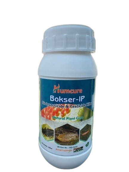 Bokser IP